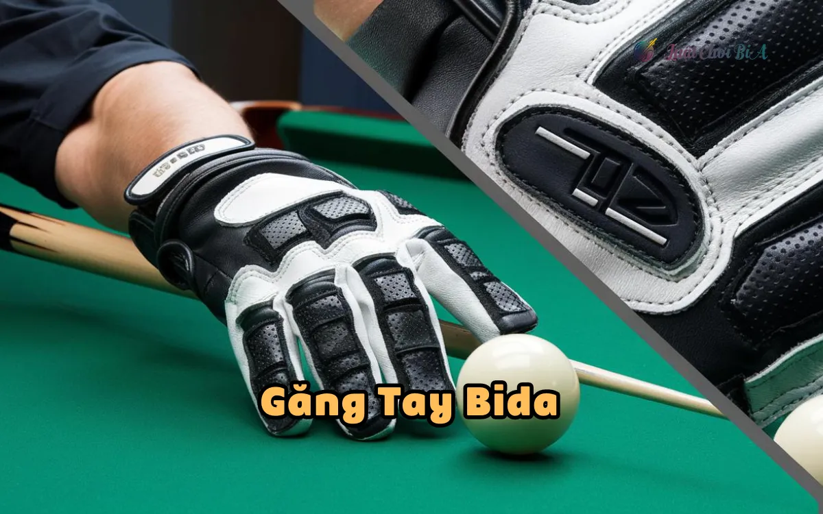 Găng Tay Bida: Bí Mật Nâng Cao Kỹ Thuật?